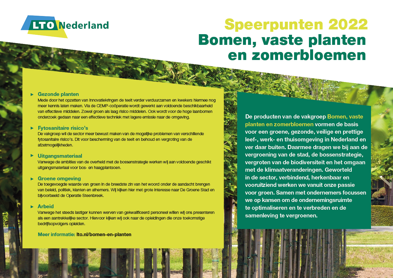 Wantrouwen Controle koppeling Bomen, vaste planten en zomerbloemen - LTO