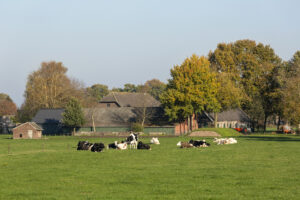 Gerechtshof 's-Hertogenbosch over PAS-melders: rechter kan legalisatie niet afdwingen, verantwoordel